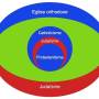 epigenese-schema-seul.jpg