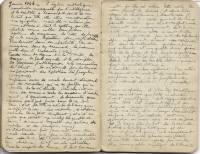 Pages du carnet intime de Julien Martelly