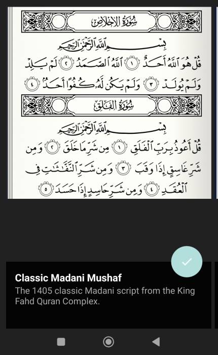madani_1405.jpg madani_1405.jpg