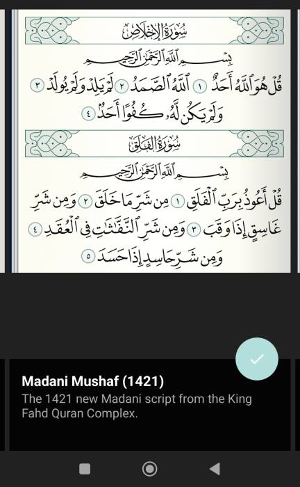 madani_1421.jpg madani_1421.jpg
